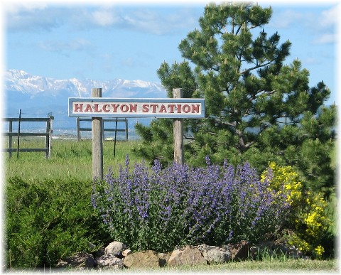 HalcyonEntrySign.09